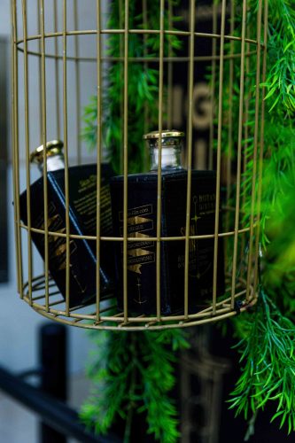 BotanicDistrict_general(4of24)